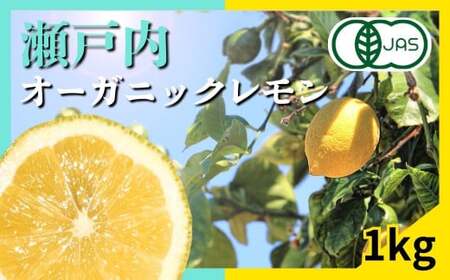 [12〜1月発送] 瀬戸内オーガニックレモン 約1kg(8〜12個程度) 有機JAS認証 国産 せとうち 広島 大崎上島 離島 有機栽培 柑橘 果物 オーガニック フルーツ ギフト 防腐剤不使用 ワックス不使用 無添加 安全 安心 送料無料 産地直送 中原観光農園