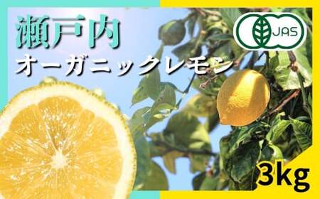 [12～1月発送] 瀬戸内オーガニックレモン 約3kg(24〜30個程度) 有機JAS認証 国産 せとうち 広島 大崎上島 離島 有機栽培 柑橘 果物 オーガニック フルーツ ギフト 防腐剤不使用 ワックス不使用 無添加 安全 安心 送料無料 産地直送 中原観光農園  