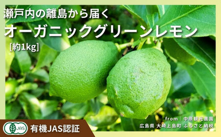 オーガニックグリーンレモン 約1kg 有機JAS認証 10〜11月発送 広島県 大崎上島町瀬戸内レモン 中原観光農園 国産 ワックス防腐剤不使用 有機レモン 免疫力向上 健康 ビタミンC クエン酸 抗酸化 産地直送