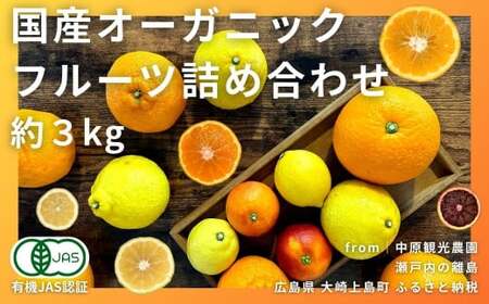 Y I[KjbNt[clߍ킹 3kg  ubhIW ͂邩 sm g L@JASF IׂTCY ˓ L 㓇  L@͔| S S I[KjbN k Z