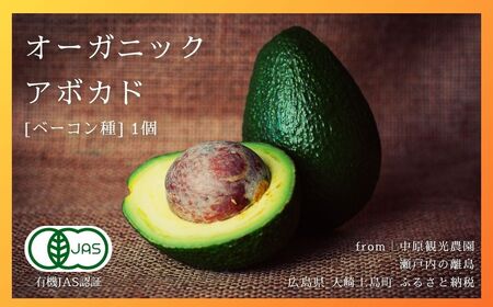 Y I[KjbNA{Jh [x[R] 1@11?12 L@JASF ˓ 㓇 L@ Z A{Jh