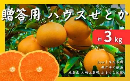 [2027年 2月 〜 3月 発送] 贈答用 瀬戸内ハウスせとか 約3kg (12玉)