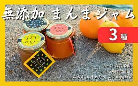 大崎上島産 自家栽培の果実で作る無添加まんまジャム 3本セット