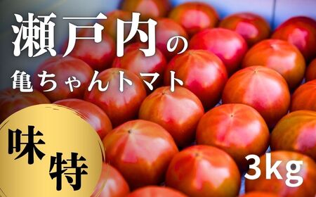 [1〜7月発送] 亀ちゃんトマト味特 約3kg 糖度8度超 瀬戸内 広島 濃厚 トマト 産地直送 亀田農園