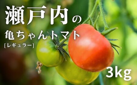 [1〜7月発送] 亀ちゃんトマト レギュラー 約3kg 瀬戸内 広島 濃厚 トマト 産地直送 亀田農園