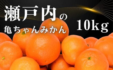 [11`2]  T ݂ 10kg Y ˓ L 㓇  x Z k Ղ  Yn Tc_