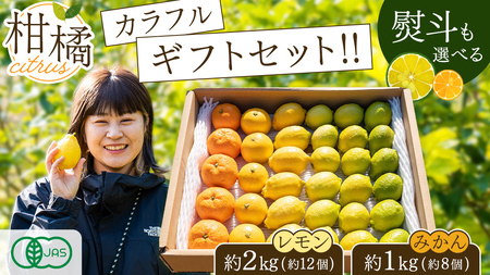 島の宝石箱!瀬戸内 旬の柑橘カラフルギフトセット ( レモン 約2kg /みかん 約1kg ) 11月〜12月発送 果物 国産 せとうち 広島 大崎上島 産地直送 ふじやファーム