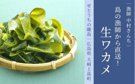 漁師直送！ 生ワカメ 600g 【1月〜2月発送】 大崎上島の漁師 中村さんちのシルキー 食感