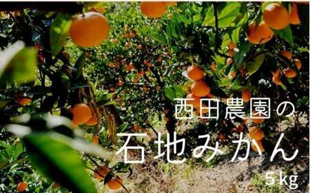 瀬戸内 石地みかん 約5kg(約50個前後) [2026年12月以降発送]