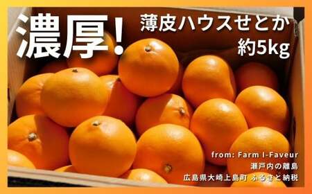 [2] Z! ʏ`Ղ蔖nEXƂ 5kg(20x)@L 㓇 ˓ k ʕ t[c  Mtg