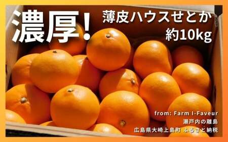 [2] Z! ʏ`Ղ蔖nEXƂ 10kg(35x)@L 㓇 ˓ k ʕ t[c  Mtg