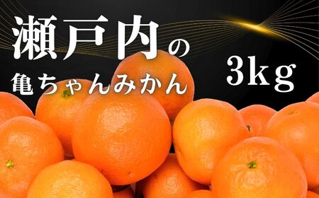 [11〜2月発送] 亀ちゃん みかん 約3kg 国産 瀬戸内 広島 大崎上島 離島 糖度 濃厚 柑橘 たっぷり お裾分け 産地直送 亀田農園