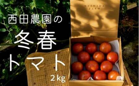 大崎上島産 西田農園の冬春 トマト 約2kg(10〜15個程度)