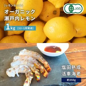 [NHK うまいッ!で紹介][予約] オーガニック瀬戸内レモン 1kg(12~1月発送) / 塩田熟成活車海老 350g(11~2月発送) オーガニック 有機レモン 有機JAS 果汁100% えび エビ エビフライ 晩酌 国産 瀬戸内 濃厚 甘さ控えめ 免疫力向上 健康 ビタミンC クエン酸 抗酸化 ソーダ 炭酸水
