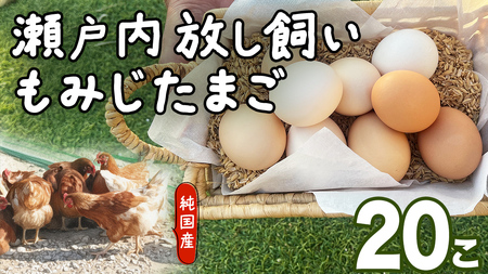 大崎上島産 もみじの 卵 20個 ( 18個+割れ保障2個 )