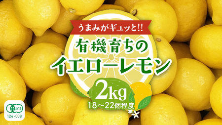 ���㓇�Y �L�@������ 2kg �i�ڈ�18?22���x�j