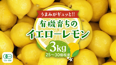 ���㓇�Y �L�@������ 3kg �i�ڈ�25?30���x�j