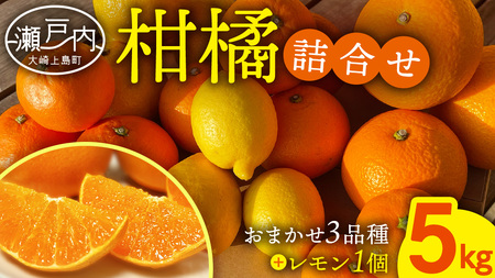 旬の柑橘 約5kg の 詰め合わせ ( おまかせ3品種 と レモン ) [OK38_002]