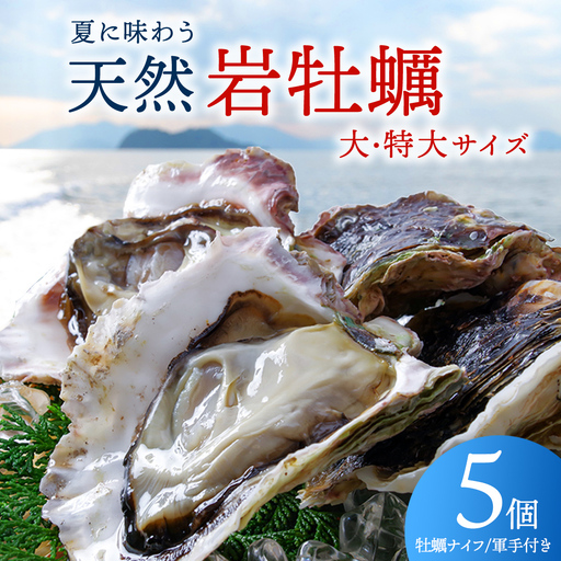 天然・生食可 大・特大サイズ 岩牡蠣 5個 瀬戸内産 [ナイフ・軍手付き] 産地直送