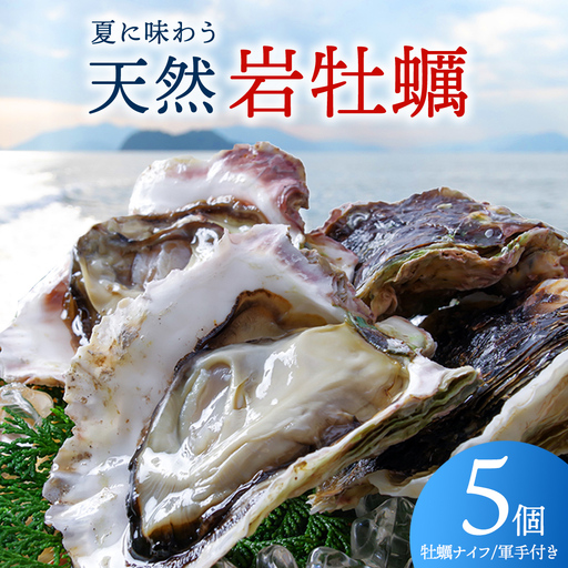 生食可 天然岩牡蠣 5個 瀬戸内産 [ナイフ・軍手付き]