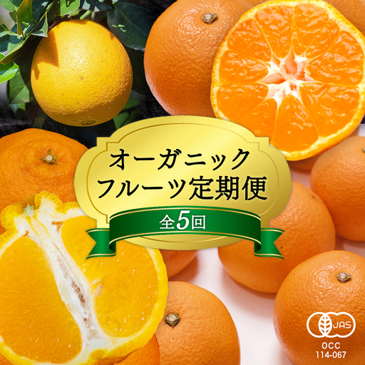 【先行予約】 オーガニックフルーツ定期便 月1回×1品目（全5回） 12月中旬以降発送 有機JAS認証 果物 皮まで食べられる みかん 国産 紅八朔 はっさく しらぬひ 紅甘夏 ネーブル 食べ比べ 通販