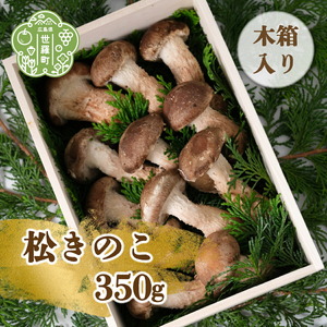松きのこ350g(木箱入り)贈答用 松茸そっくりの姿にほのかな香りとシャキシャキ食感 世羅 A003-02