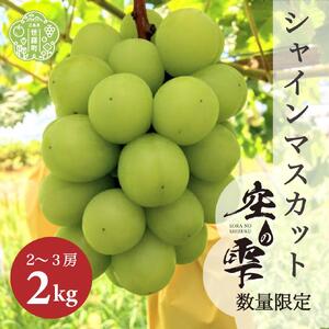 世羅町産 シャインマスカット1kg(2〜3房)[ご家庭用･先行予約]数量限定 空の雫 シャイン マスカット ぶどう 葡萄 ブドウ フルーツ 果物 くだもの 産地直送 世羅 世羅産 サンワファーム [2025年10月上旬以降順次発送]A025-03