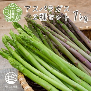アスパラガス2種セット 合計1kg(グリーンアスパラガス 600g･パープルアスパラガス 400g)[7月までの期間限定]アスパラ 野菜 産地直送 新鮮 世羅 A039-01