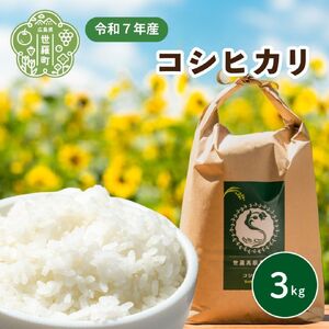 令和7年コシヒカリ3kg[白米]新米 ごはん 精米 お米 ご飯 おにぎり お弁当 こしひかり 世羅米 世羅産 世羅町産 A041-16
