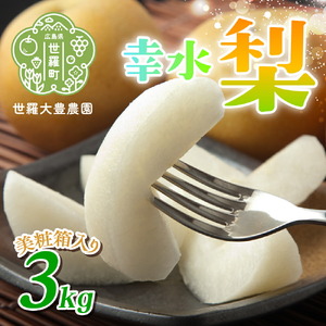 世羅幸水梨 3kg(美粧箱入)[先行予約・数量限定]世羅 大豊農園 幸水 梨 せら なし フルーツ 果物 くだもの 産地直送 新鮮 贈答 進物[2026年8月下旬以降順次発送] A019-02