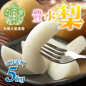 世羅豊水梨 5kg(ご自宅用)[先行予約・数量限定]世羅 大豊農園 豊水 梨 せら なし フルーツ 果物 くだもの 産地直送 新鮮[2026年9月中旬以降順次発送] A019-04