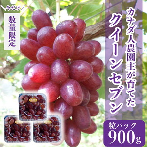 世羅産クイーンセブン粒パック 約900g(3パック)[数量限定]カナダ人農園主 ぶどう ブドウ クイーン セブン フルーツ 果物 くだもの 産地直送 世羅 ラピアビンヤード[2026年8月下旬以降順次発送] A021-15