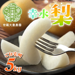 幸水梨 ご自宅用 約5kg【先行予約・数量限定】世羅 大豊農園 幸水 梨 せら なし フルーツ 果物 くだもの 甘い 果汁 ジューシー デザート 産地直送 新鮮【2026年8月下旬以降順次発送】　 A019-05