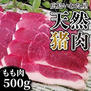 天然猪肉 もも肉 約500g モモ 焼肉 猪肉 しし肉 天然 ジビエ 世羅 いわた屋 A034-08