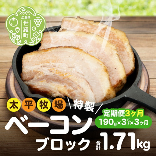 [定期便3カ月]特製ベーコンブロック×3パック