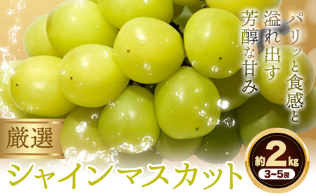 VC }XJbg  2 kg  s9{-11{oח\(yj)tԌ t[c ʕ uhE Ԃǂ Â Z