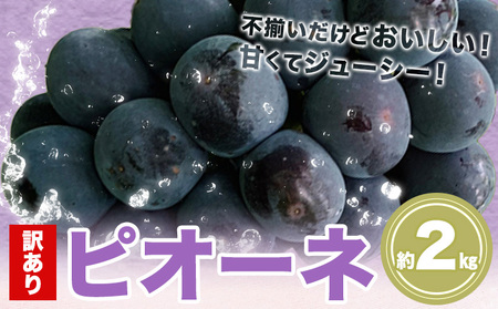 󂠂 sI[l 2kg s9{-10{oח\(yj)tԌ t[c ʕ uhE Ԃǂ Â Z