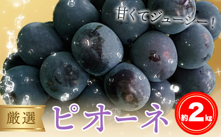 I sI[l 2kg s9{-10{oח\(yj)tL _΍ ʕ t[c Ԃǂ 󂠂 