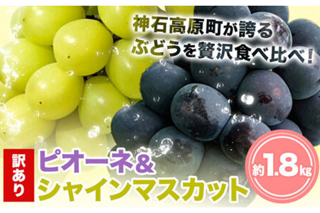 󂠂sI[lVC}XJbg 1.8kg s9{-10{oח\(yj)tL _΍ ʕ t[c Ԃǂ VC}XJbg 󂠂 