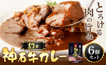カレー レトルト 牛肉カレー 神石牛 幻の神石牛カレー たっぷり 6個セット 1個200g 株式会社 帝釈峡スコラ[30日以内に出荷予定(土日祝除く)]和牛 牛 肉 手作り スパイス 送料無料