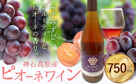 ワイン ロゼワイン ピオーネワイン 神石高原産 750ml 株式会社 神石高原ティアガルテン[30日以内に出荷予定(土日祝除く) ]広島県 神石高原町 酒 洋酒 ワイン ピオーネ 果物 フルーツ ぶどう お酒 ロゼ お取り寄せ