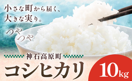 _΍Y RVqJ  10kg MSERRNTs񕍌2Tԓȓɏoח\(yj) t   ͂   Y R L _΍