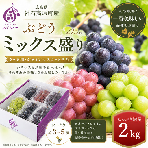 厳選ぶどうミックス盛り（3～5種・シャインマスカット入り）約2kg｜食べ比べセット・数量限定
