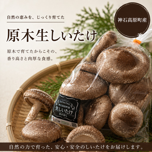 [ふるさと納税]神石高原産 原木生しいたけ 約200g 肉厚で香り豊か 原木栽培 椎茸 しいたけ 国産|中ちゃん農園 広島県 神石高原町