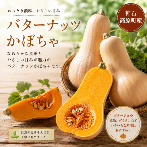 [ふるさと納税]神石高原産 バターナッツかぼちゃ 約4kg クリーミーで濃厚な味わい 国産かぼちゃ|中ちゃん農園 広島県 神石高原町 野菜