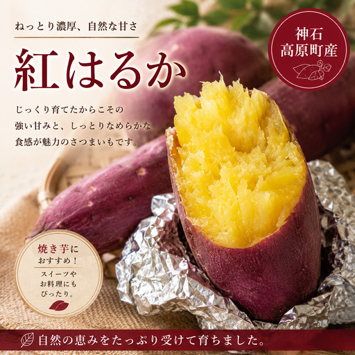 [ふるさと納税]神石高原産 紅はるか 約4kg しっとり甘い さつまいも 国産さつまいも 焼き芋におすすめ|中ちゃん農園 広島県 神石高原町
