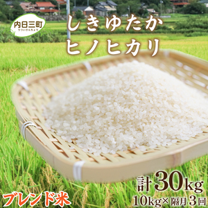 [令和7年産][定期便] Wブレンド米 10kg 隔月3回 (合計30kg) 山口県産 [内日三町:DZ8016]