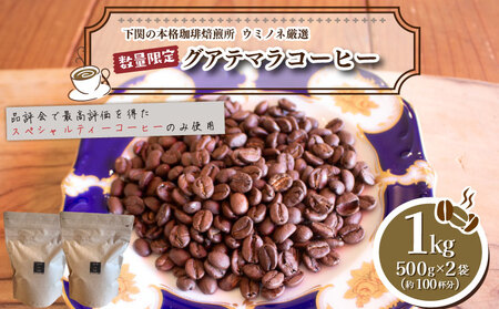 [浅煎り] 訳あり コーヒー粉 1kg ( 500g × 2袋 ) グアテマラ ハンドドリップ コーヒー 珈琲 コーヒー豆 出荷当日 自家焙煎 数量限定 スペシャルティコーヒー ウミノネコーヒー 下関 山口 コｰヒｰコｰヒｰコｰヒｰコｰヒｰコｰヒｰコｰヒｰコｰヒｰコｰヒｰ EW149-C