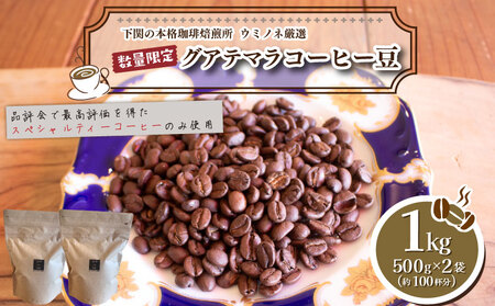 [浅煎り] 訳あり コーヒー豆 1kg ( 500g × 2袋 ) 数量限定 グアテマラ 珈琲 自家焙煎 下関 山口 EW147-C