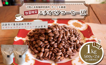 [中深煎り] 訳あり コーヒー豆 1kg ( 500g × 2袋 ) エチオピア コーヒー 珈琲 出荷当日 自家焙煎 数量限定 スペシャルティコーヒー ウミノネコーヒー 下関 山口 コｰヒｰコｰヒｰコｰヒｰコｰヒｰコｰヒｰコｰヒｰコｰヒｰコｰヒｰ EW146-B